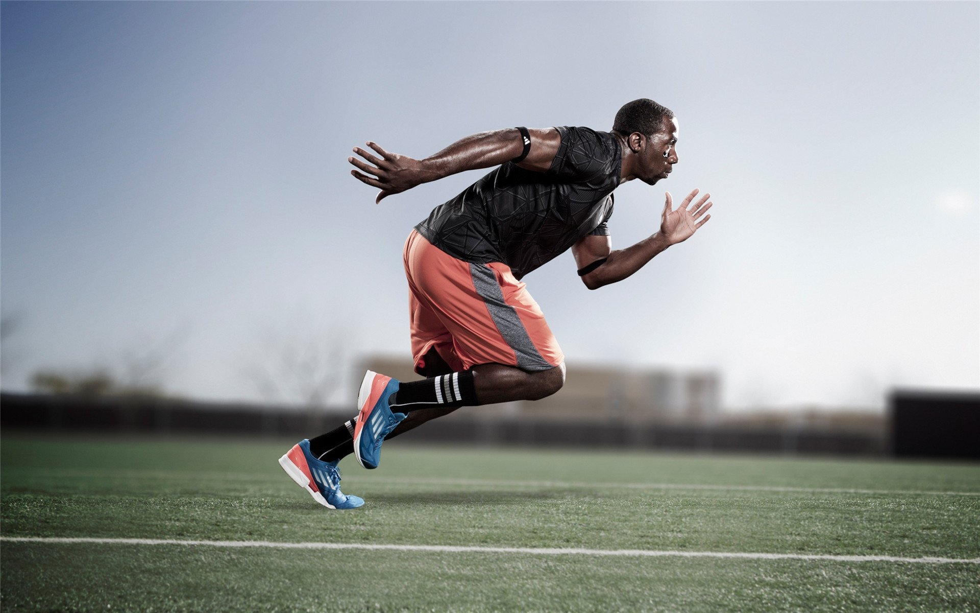 西雅图海湾者球员逐渐成熟,未来光明,美国西雅图海湾人足球队战绩