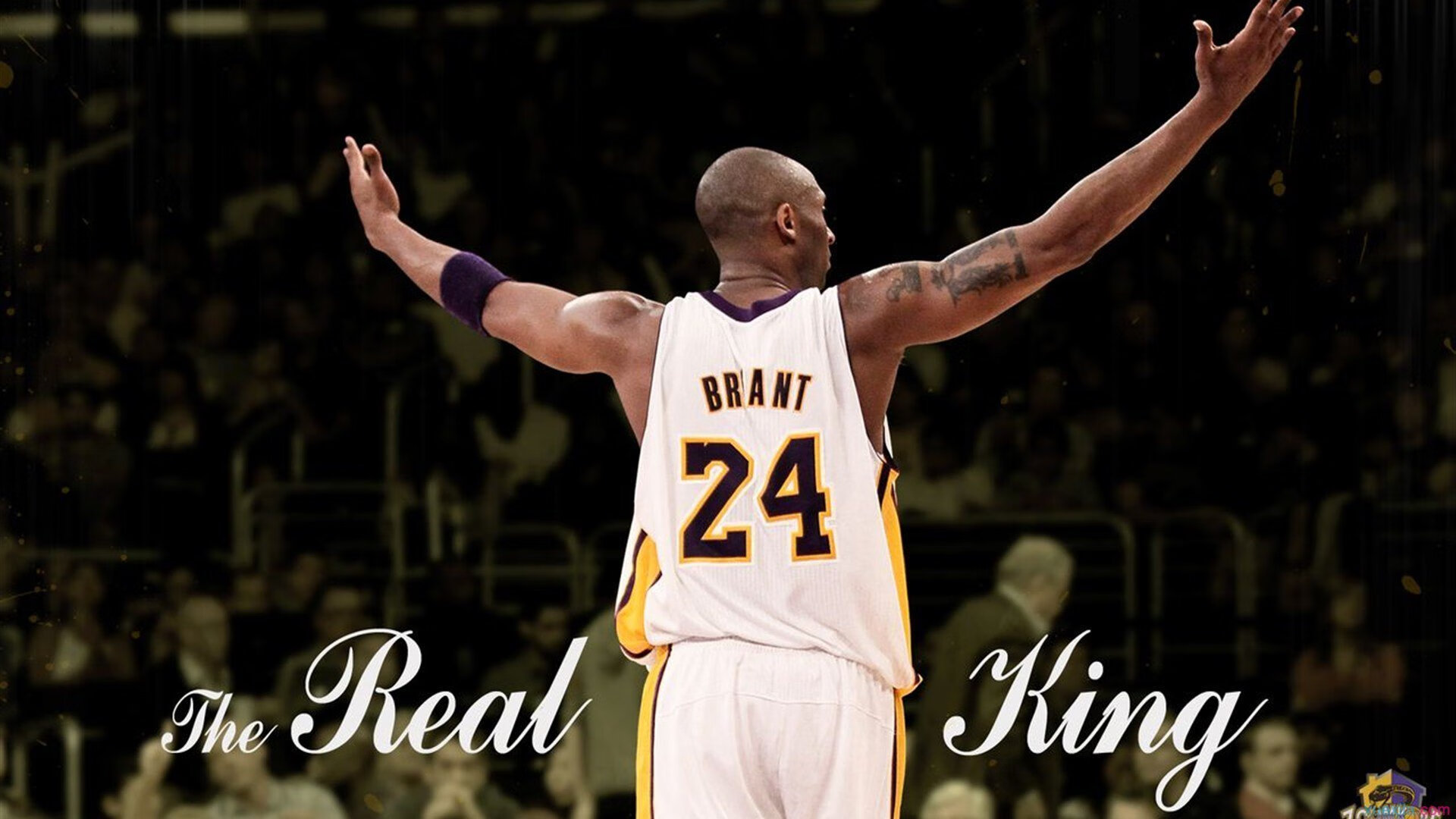 体育新闻中心赛季综述专题,2020年度体育新闻