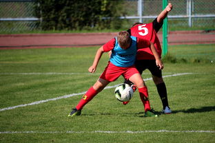 星空体育app-中国足球俱乐部与国际学校合作开展足球课程，国内足球培训基地